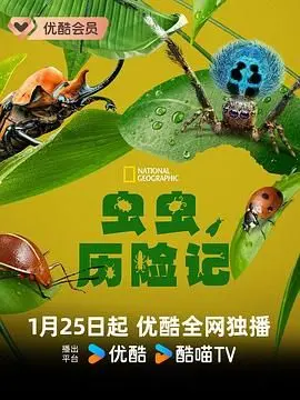 《虫虫历险记 第一季》：微观世界的奇幻冒险，一场关于勇气与友谊的成长童话
