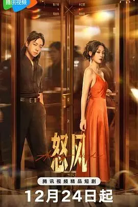怒风：一部让你热血沸腾的硬核动作片，全程高能，肾上腺素飙升！