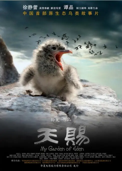 《天赐》：平凡人生中的惊鸿一瞥，这部治愈系小品让你瞬间回血！