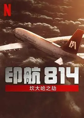 《印航814：坎大哈之劫》：劫机不是儿戏，这电影看得我心脏病都快犯了！