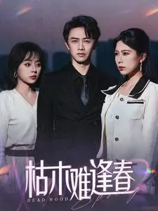 《枯木难逢春》：看完这宠物医院的纪录片，我的心都化了，这治愈力量绝了！