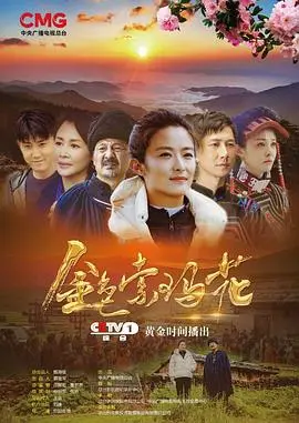 《金色索玛花》万茜演技遭群嘲？徐纪周导演谈选角内幕：这选角太异想天开